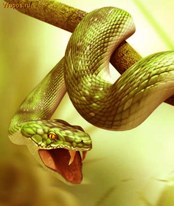 Бесплатный сонник онлайн, видеть змею во сне, сон змея ползёт. Змея обвивает ногу, руку, тело, шею. Змея душит во сне, змея ужалила, укусила. Сбросить змею, убежать, уйти от змеи во сне, убить змею